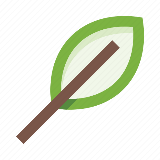 Leaf, nature, plant, ecology, herb, foliage, botany icon - Download on Iconfinder