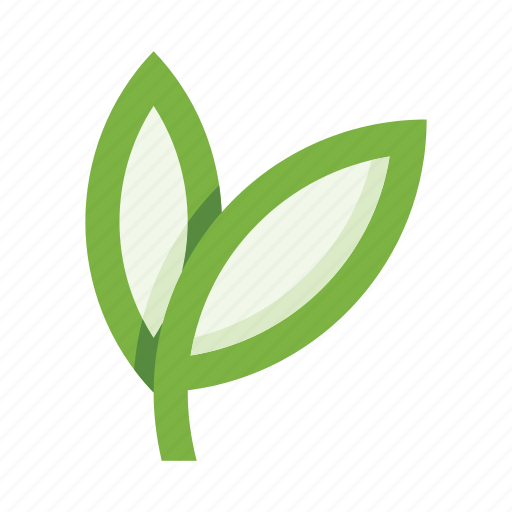 Leaves, branch, leaf, plant, ecology, herb, botany icon - Download on Iconfinder