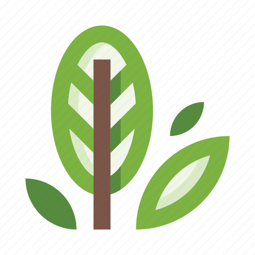 Leaves, foliage, plant, herb, leaf, nature, botany icon - Download on Iconfinder