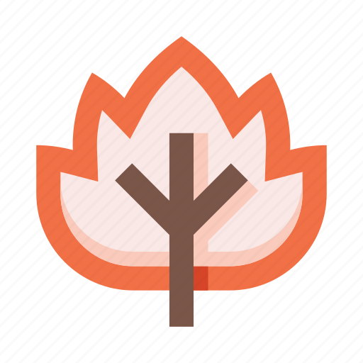 Leaf, plant, nature, ecology, herb, foliage, botany icon - Download on Iconfinder
