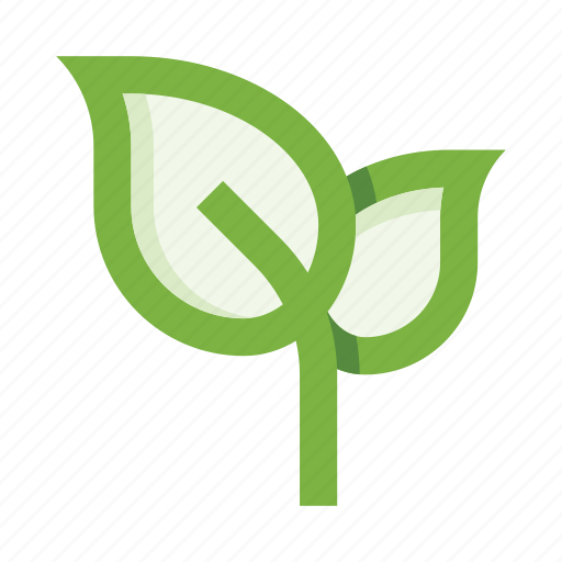Leaves, leaf, plant, nature, ecology, herb, botany icon - Download on Iconfinder