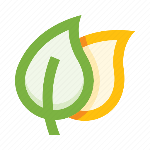 Leaves, leaf, plant, nature, herb, foliage, botany icon - Download on Iconfinder