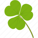 beautiful, clover, environment, green, leaf, leaves, plant