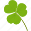 beautiful, clover, environment, green, leaf, leaves, plant 