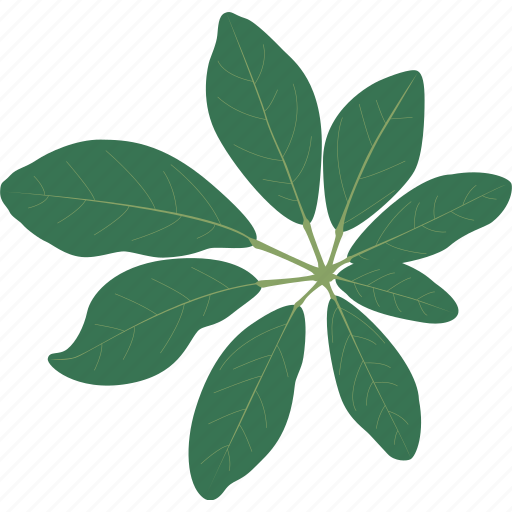 Bush, leaf, leaves, plant, rain forest, tree, tropical icon - Download on Iconfinder