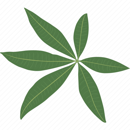 Ecology, foliage, herb, jungle, leaf, leaves, plant icon - Download on Iconfinder