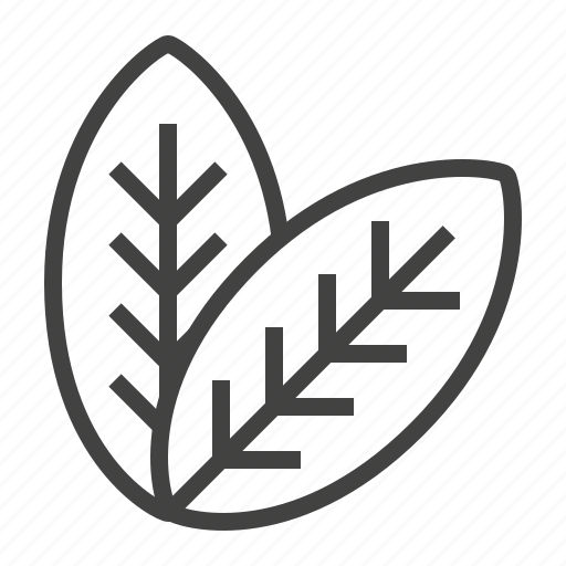 Bio, leaves, nature, organic icon - Download on Iconfinder