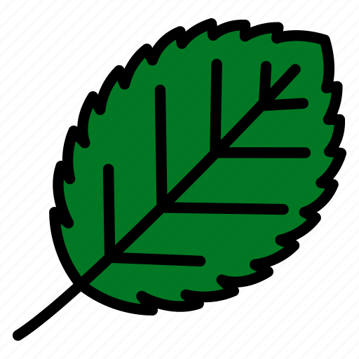 Alder, leaf, nature, plant, tree icon - Download on Iconfinder