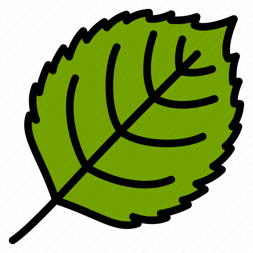 Birch, leaf, nature, plant, tree icon - Download on Iconfinder