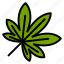 cannabis, leaf, nature, plant, tree 