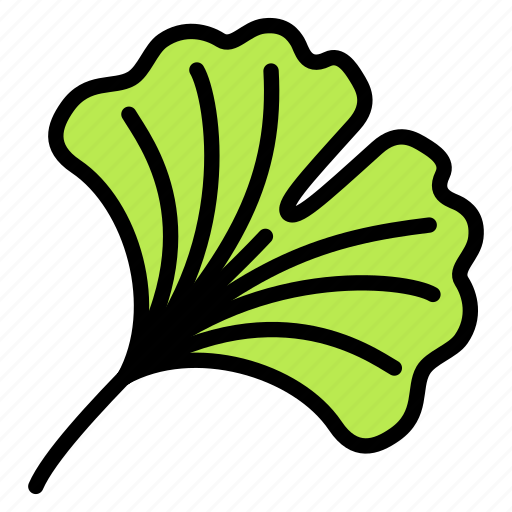Ginkgo, leaf, nature, plant, tree icon - Download on Iconfinder