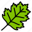 hawthorn, leaf, nature, plant, tree 
