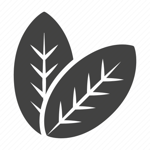 Bio, leaves, nature, organic icon - Download on Iconfinder