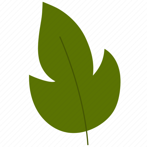 Leaf, nature, leaves, foliage, green, autumn icon - Download on Iconfinder
