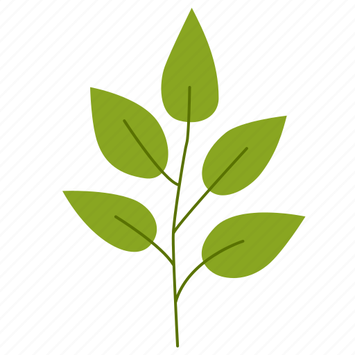Leaf, nature, leaves, foliage, green, autumn icon - Download on Iconfinder