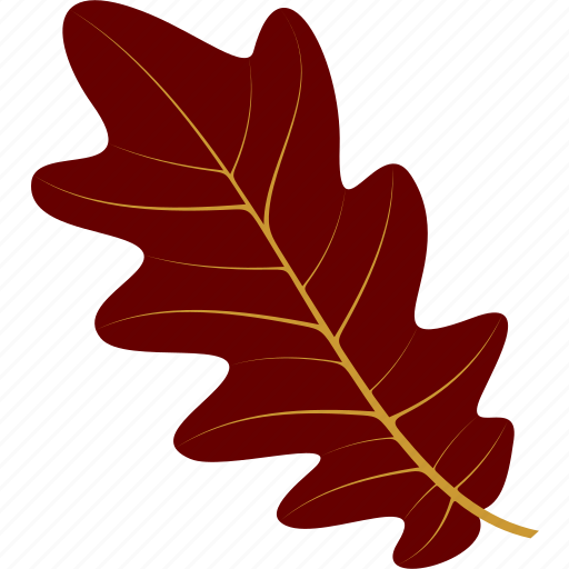 Flora, foliage, leaf, leaves, nature, oak, plant icon - Download on Iconfinder
