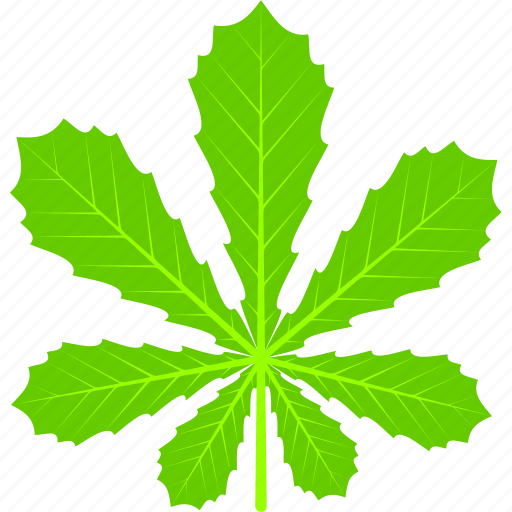 Chestnut, flora, foliage, leaf, leaves, nature, plant icon - Download on Iconfinder