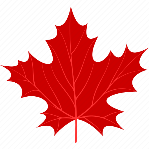 Flora, foliage, leaf, leaves, maple, nature, plant icon - Download on Iconfinder