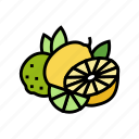 branch, lemon, lime, vitamin, citrus, fruit