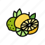 branch, lemon, lime, vitamin, citrus, fruit 