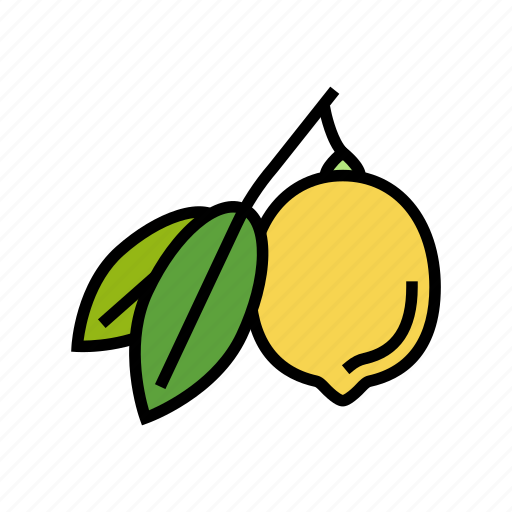 Lemons, citrus, leaf, lemon, lime, vitamin icon - Download on Iconfinder