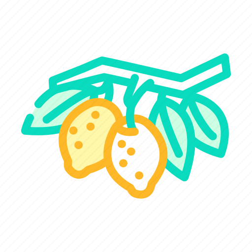 Branch, lemon, plant, fruit, citrus, slice icon - Download on Iconfinder