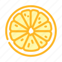 lemon, cut, fruit, citrus, slice, fresh