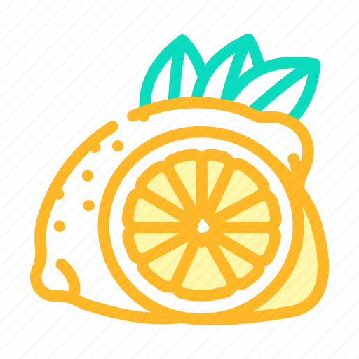 Lemons, cut, lemon, fruit, citrus, slice icon - Download on Iconfinder
