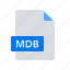 database, format, mdb 