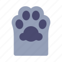 animal, cat, footprint, paw, pet