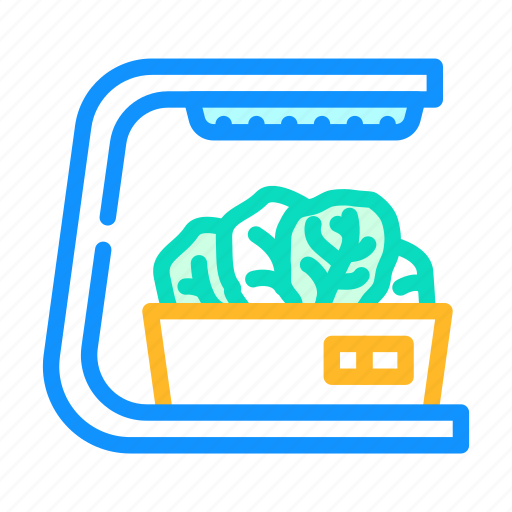 Aerogarden, salad, lettuce, leaf, vegetable, green icon - Download on Iconfinder