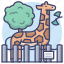 zoo, park, animal, giraffe 