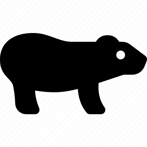Animal, bear, carnivore, hamster, mammal, wild icon - Download on Iconfinder