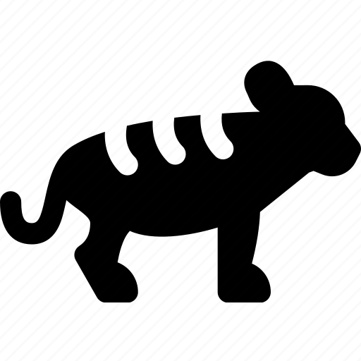 Cat, solitary, striped, tiger, wildanimal icon - Download on Iconfinder