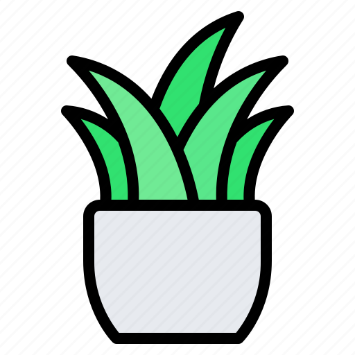 Plant, planting, vase, pot, nature, decoration, living room icon - Download on Iconfinder