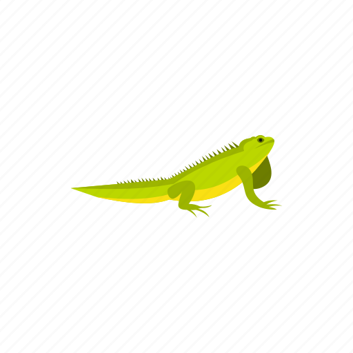 Amphibia, amphibian, chameleon, pouch, reptile, throat, triton icon - Download on Iconfinder