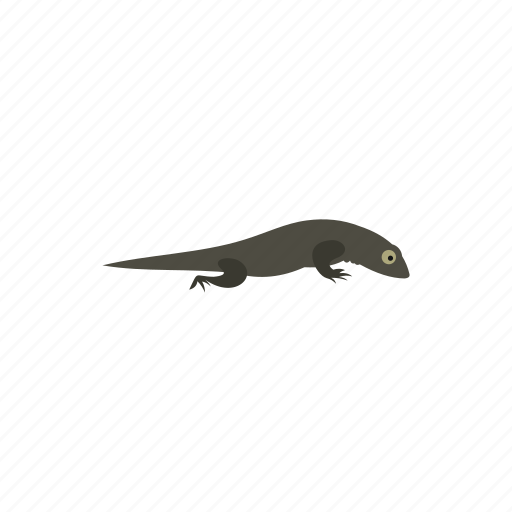 Amphibia, amphibian, reptile, salamandra, triton, water, wild icon - Download on Iconfinder