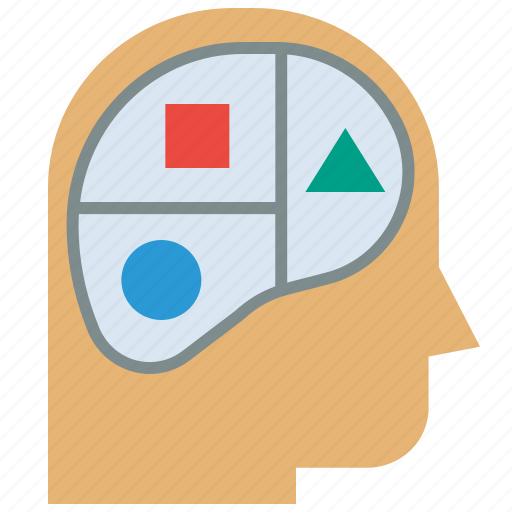 Brain, function, logic, skill, talent icon - Download on Iconfinder