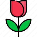 rose, love, valentine, couple, romantic