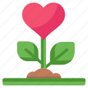 love growth, love plant, valentine plant, gratitude, heart plant