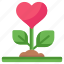 love growth, love plant, valentine plant, gratitude, heart plant 