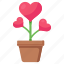 love growth, love plant, valentine plant, potted plant, heart plant 
