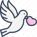 dove, wedding, love, pigeon, bird