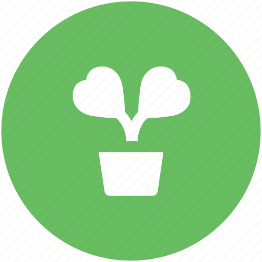 Heart flowers, love, love concept, passion, plant, romantic, valentine day icon - Download on Iconfinder