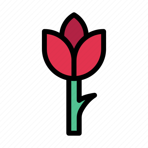 Blossom, flower, love, propose, valentine icon - Download on Iconfinder