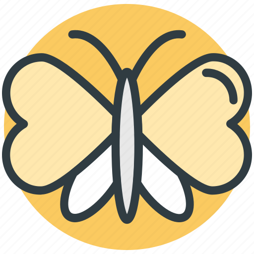 Butterfly, greeting, heart shaped, love sign bird, love theme icon - Download on Iconfinder