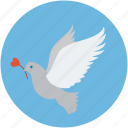 bird and rose, dove of peace, dove with rose, flying dove, glowing dove, love sign bird, peacemaker, pigeon