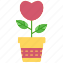 love, plant, pot, valentines, romantic, heart, sprout, tree