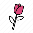 flower, leaf, petal, pink, rose