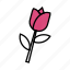 flower, leaf, petal, pink, rose 